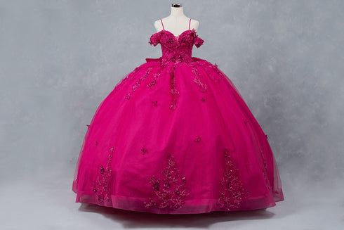 Butterfly Quinceañera Princess Ball Gown for Women, Sizes 4/XS-16/3X